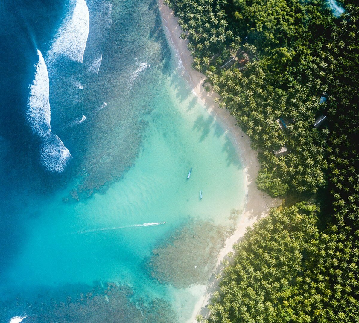 Couple enjoying digital detox honeymoon surrounded by nature