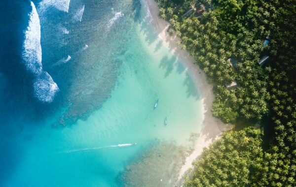Couple enjoying digital detox honeymoon surrounded by nature