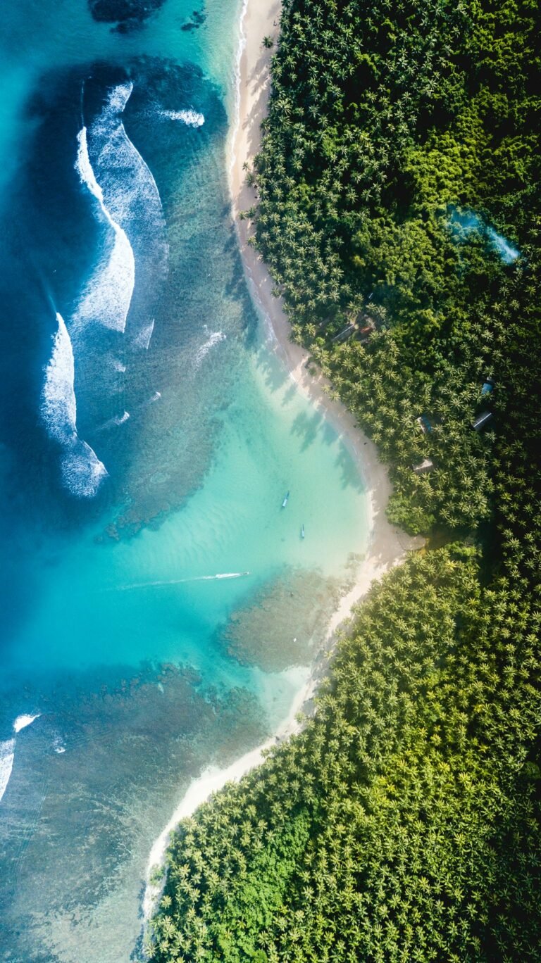 Couple enjoying digital detox honeymoon surrounded by nature