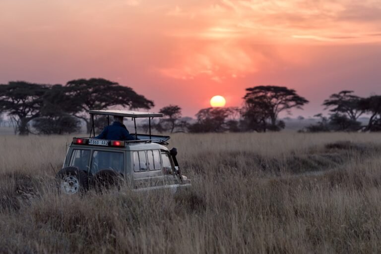 Couple on romantic safari honeymoon watching wildlife in Africa
